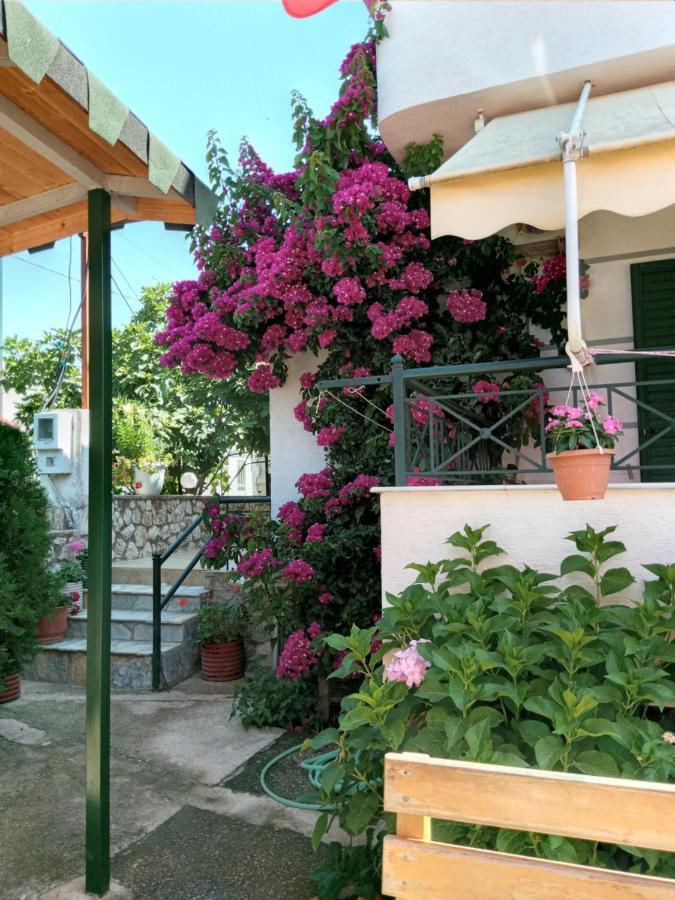 Vila Zogaj Εξαμίλιο Εξωτερικό φωτογραφία