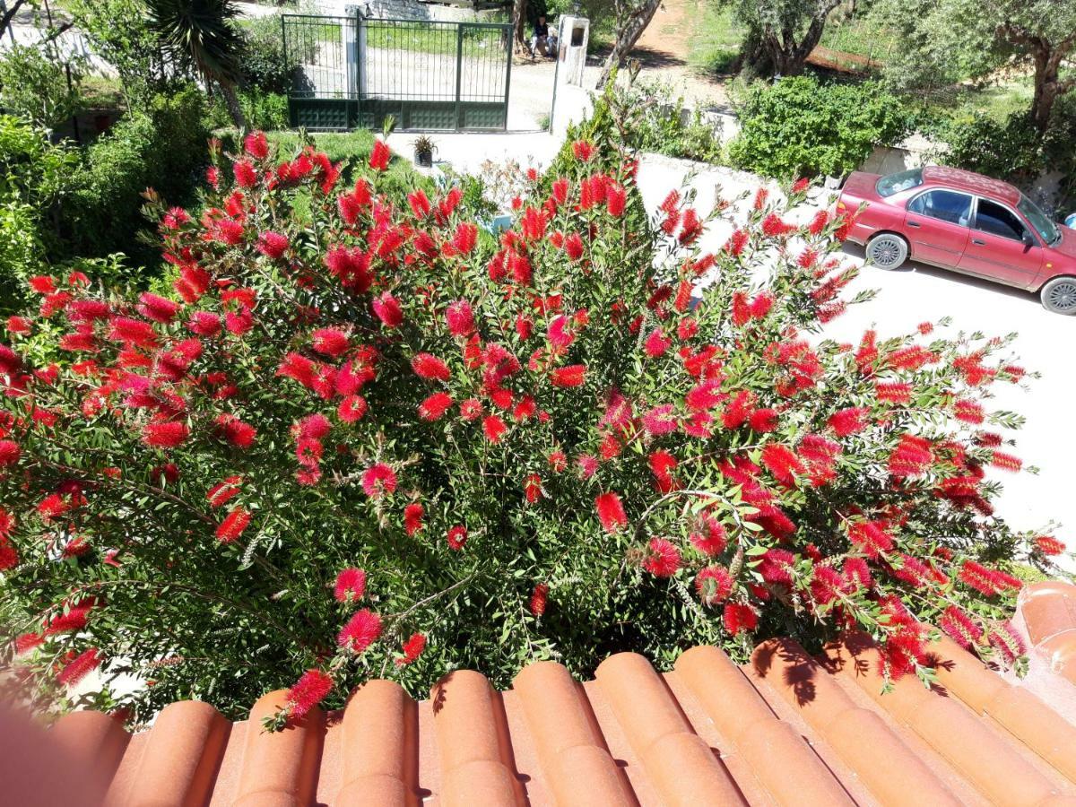 Vila Zogaj Εξαμίλιο Εξωτερικό φωτογραφία